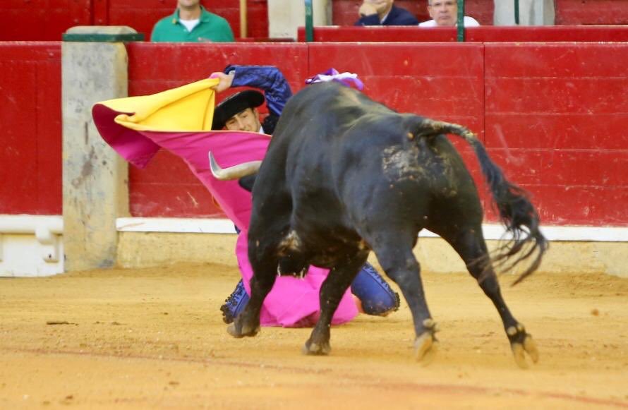 Zaragoza, sábado 12 de octubre de 2019