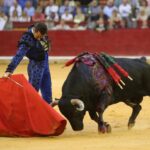 Zaragoza, sábado 12 de octubre de 2019