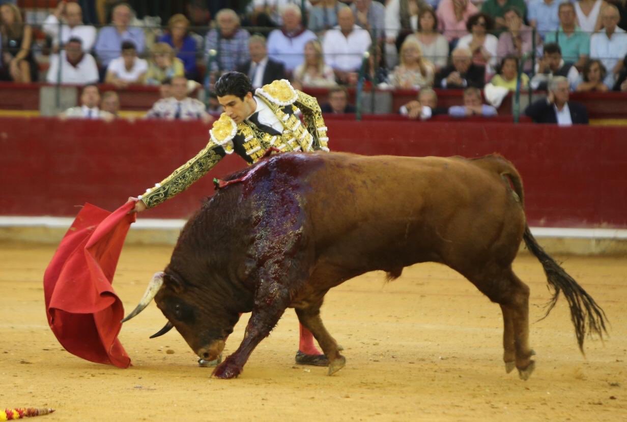 Zaragoza, sábado 12 de octubre de 2019