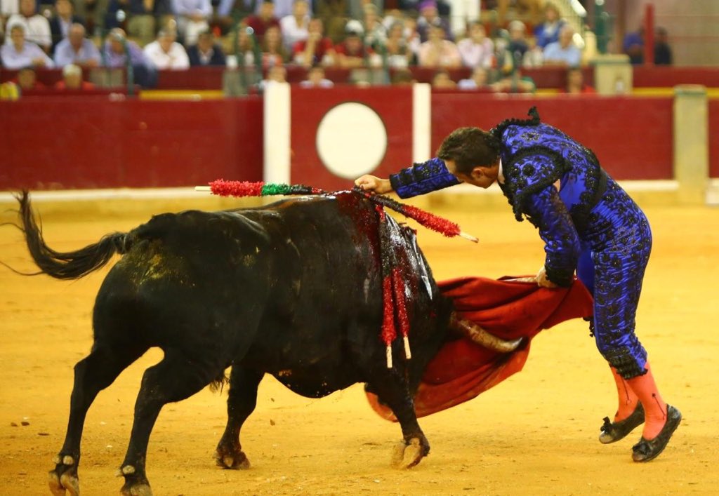 Zaragoza, sábado 12 de octubre de 2019