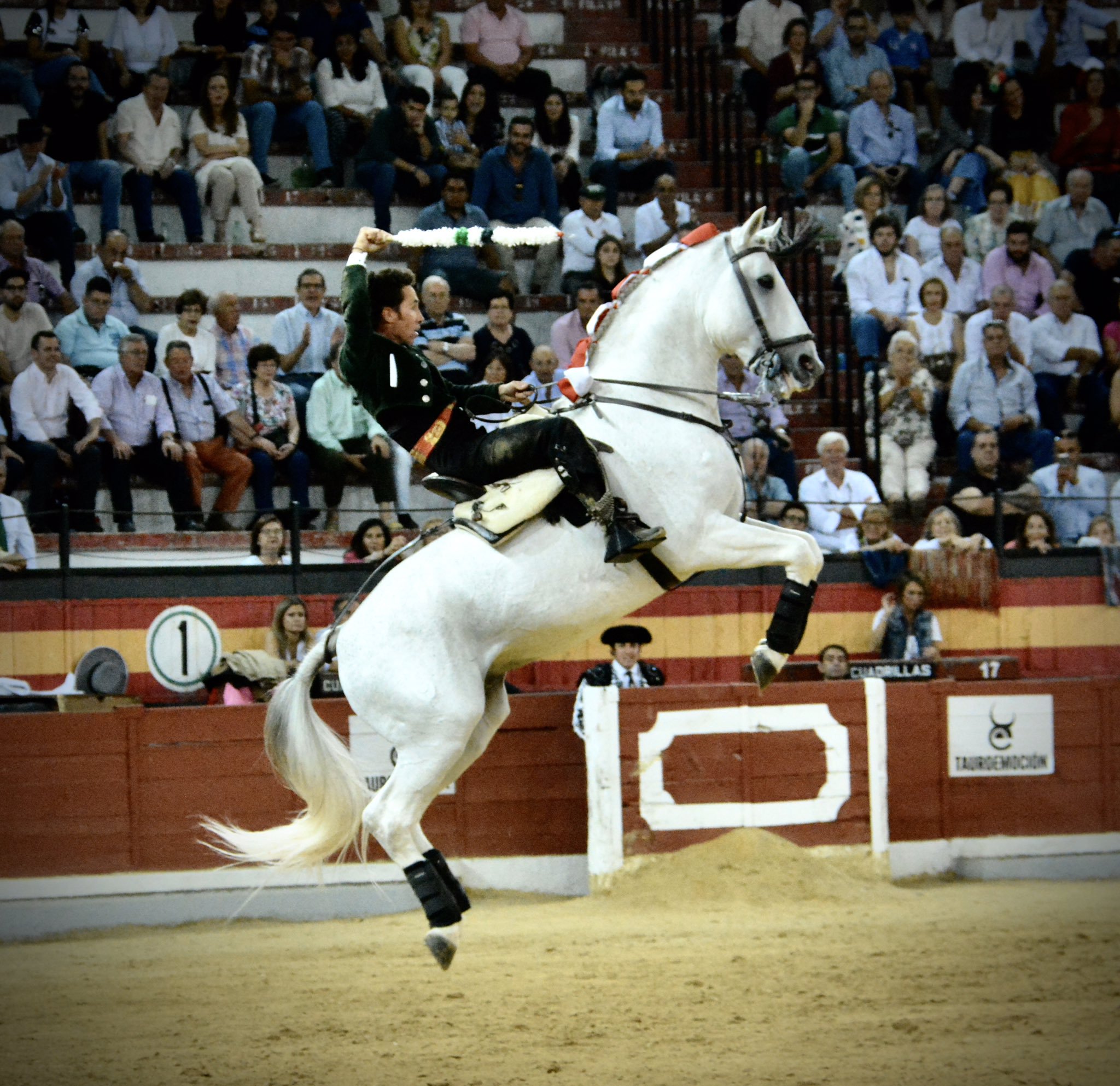 Jaén, domingo 13 de octubre de 2019