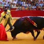 Zaragoza, domingo 13 de octubre de 2019