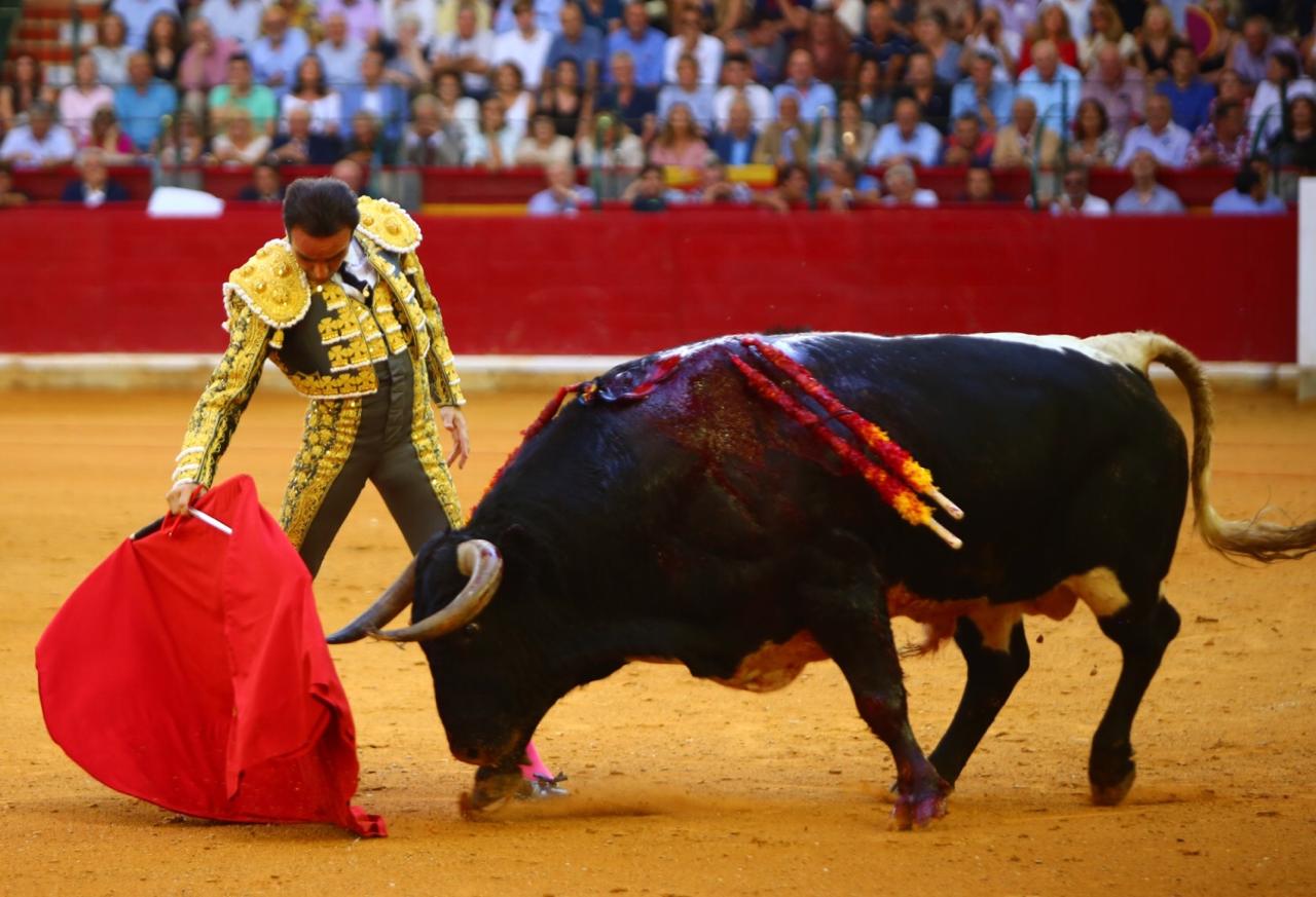Zaragoza, domingo 13 de octubre de 2019