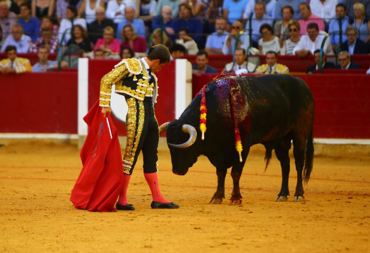 Zaragoza, domingo 13 de octubre de 2019
