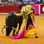 Zaragoza, domingo 13 de octubre de 2019