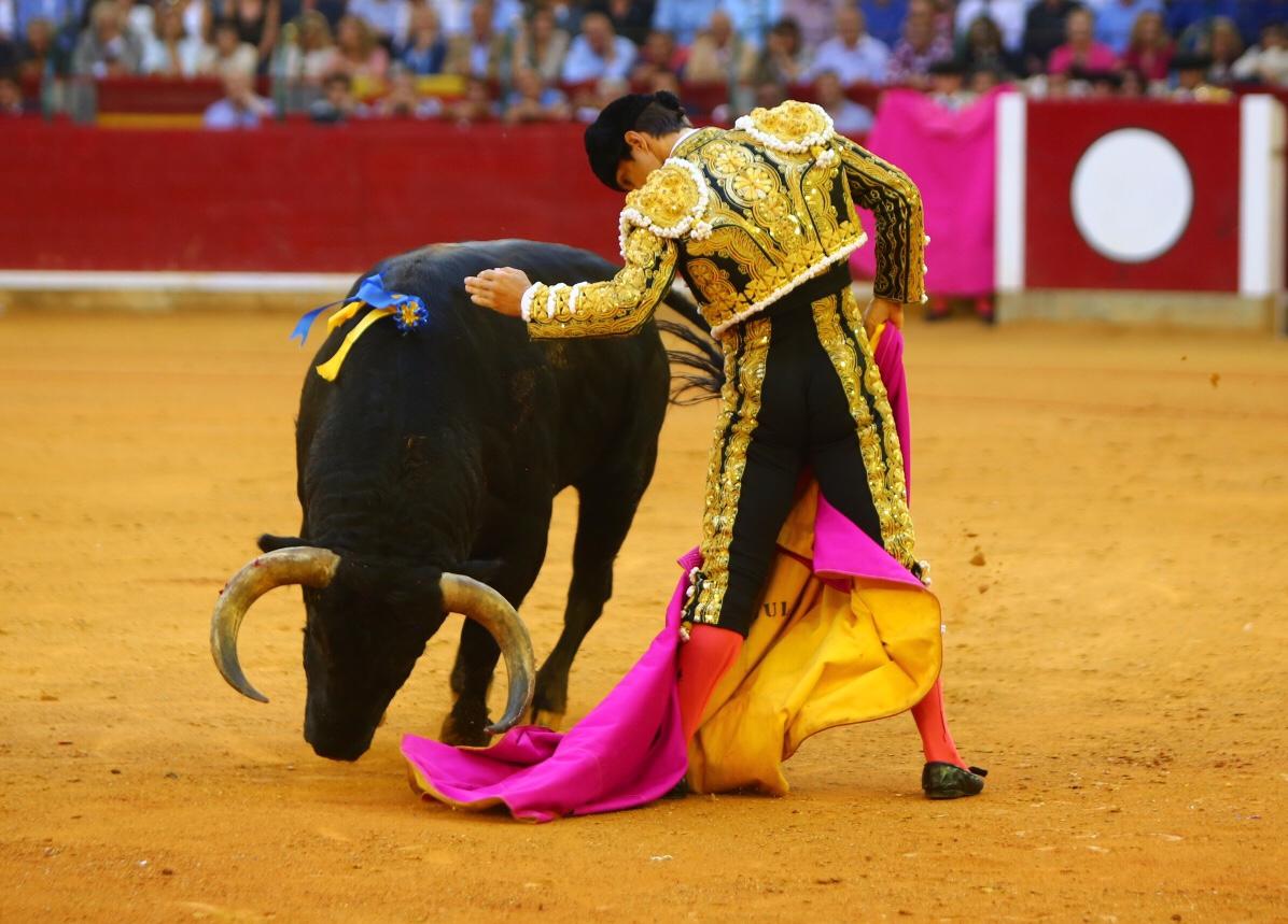 Zaragoza, domingo 13 de octubre de 2019