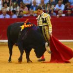 Zaragoza, domingo 13 de octubre de 2019