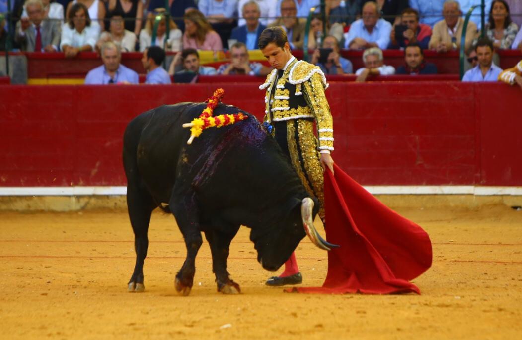 Zaragoza, domingo 13 de octubre de 2019