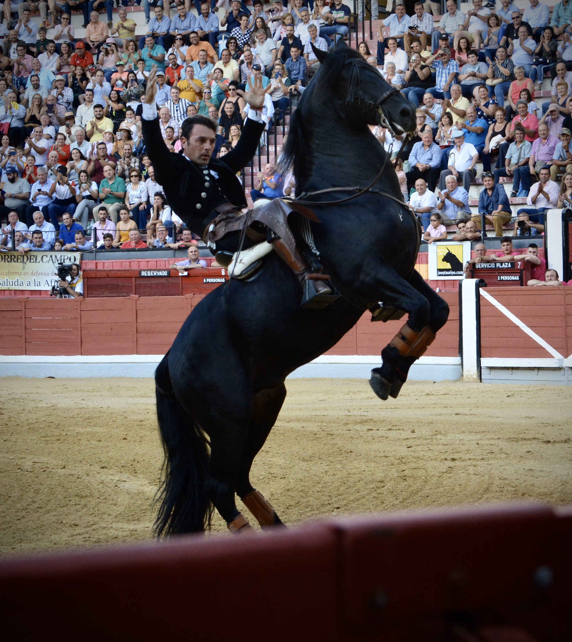 Jaén, domingo 13 de octubre de 2019