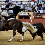 Jaén, domingo 13 de octubre de 2019