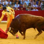 Zaragoza, domingo 13 de octubre de 2019