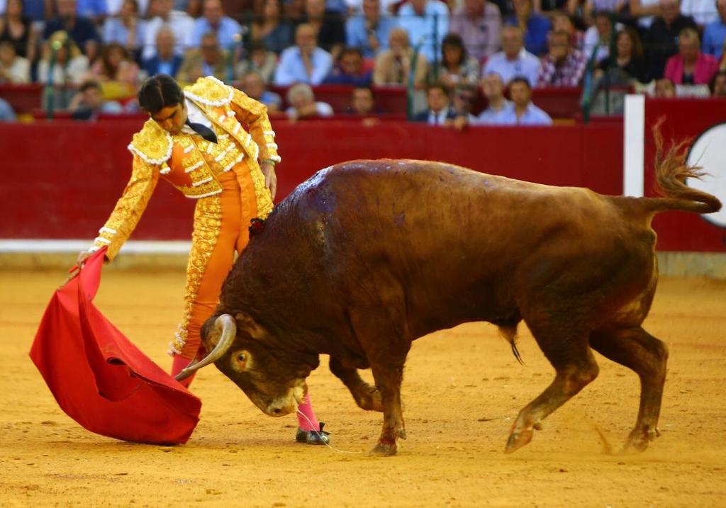 Zaragoza, domingo 13 de octubre de 2019