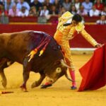 Zaragoza, domingo 13 de octubre de 2019