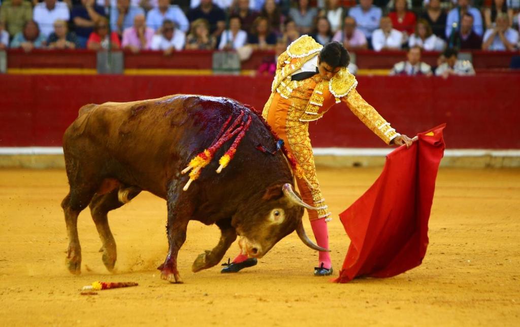 Zaragoza, domingo 13 de octubre de 2019