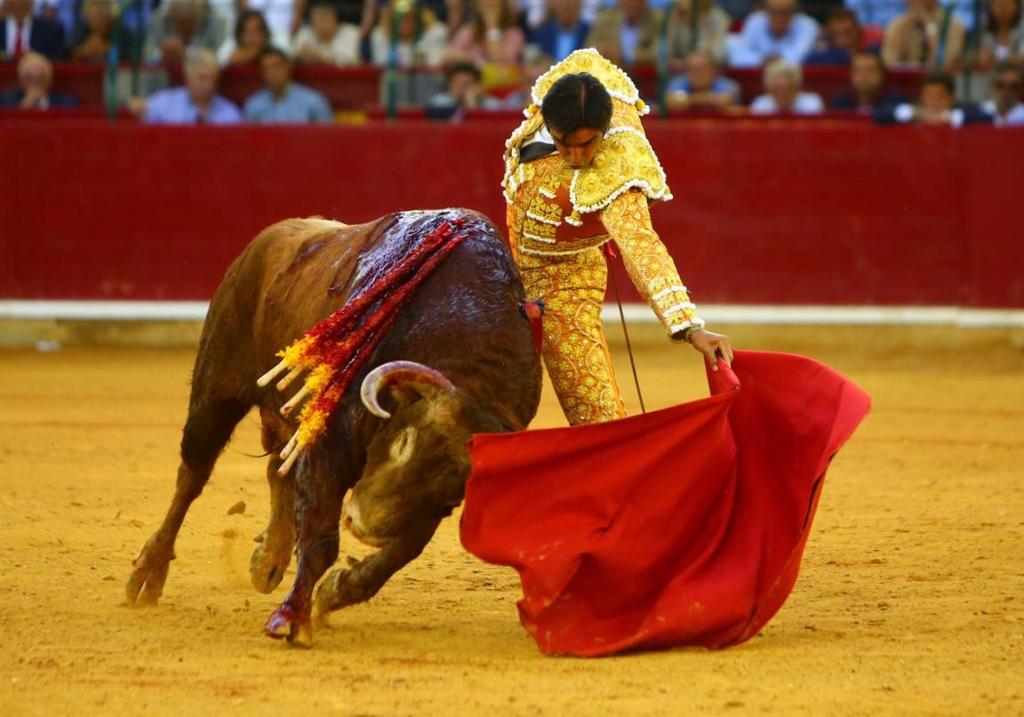 Zaragoza, domingo 13 de octubre de 2019