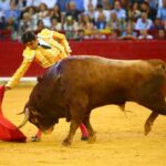 Zaragoza, domingo 13 de octubre de 2019