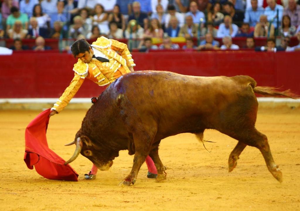 Zaragoza, domingo 13 de octubre de 2019