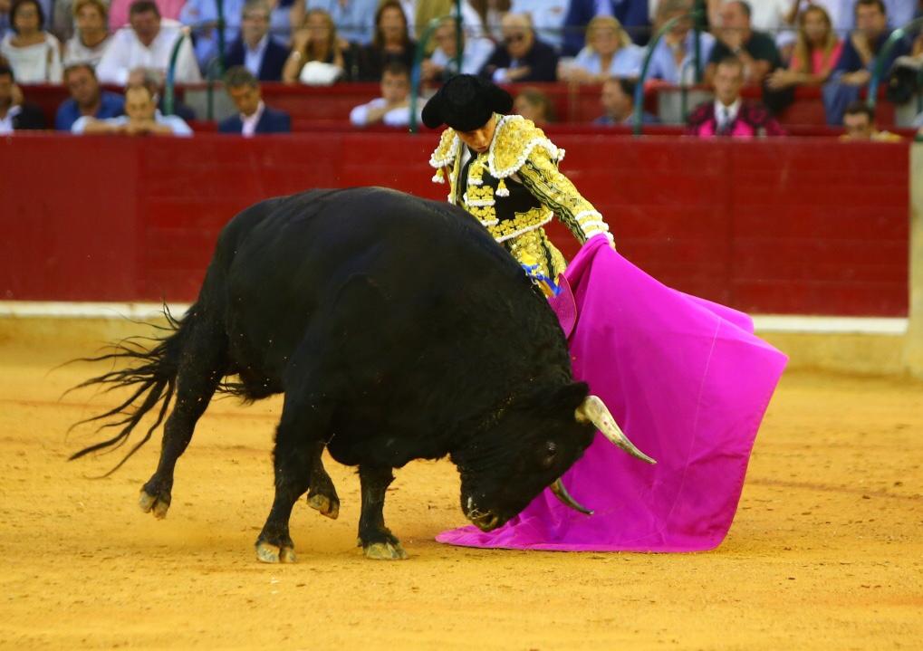 Zaragoza, domingo 13 de octubre de 2019