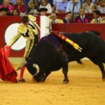 Zaragoza, domingo 13 de octubre de 2019