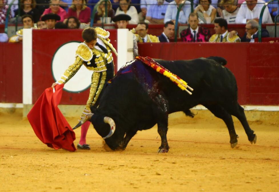 Zaragoza, domingo 13 de octubre de 2019