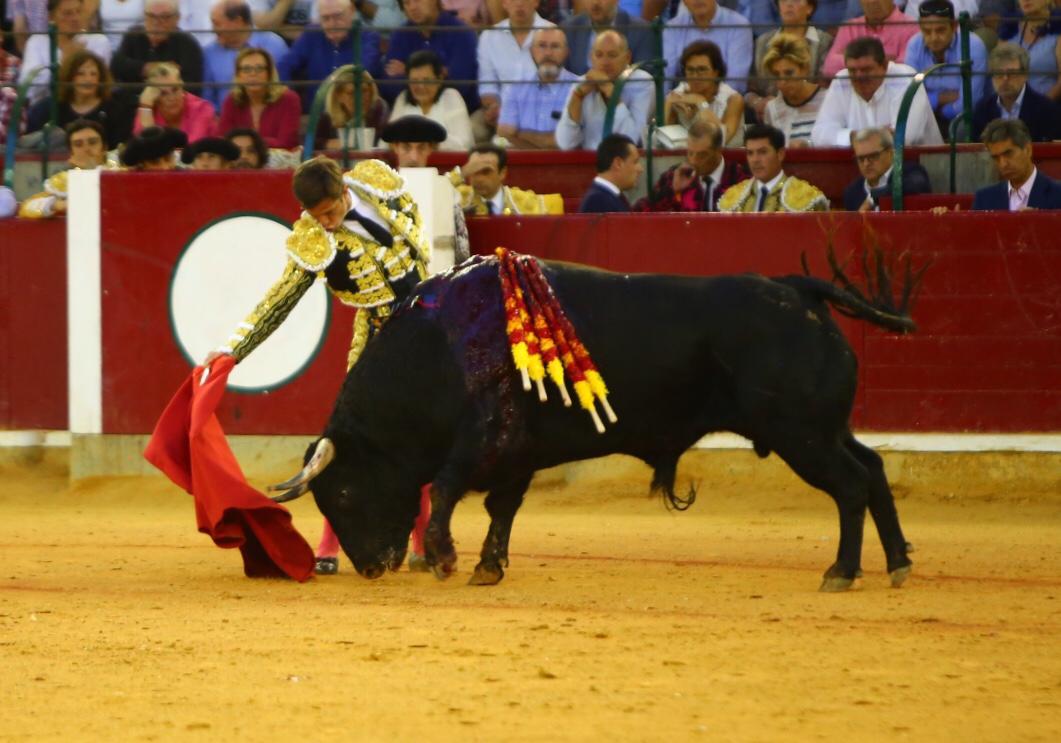 Zaragoza, domingo 13 de octubre de 2019