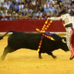 Zaragoza, domingo 13 de octubre de 2019