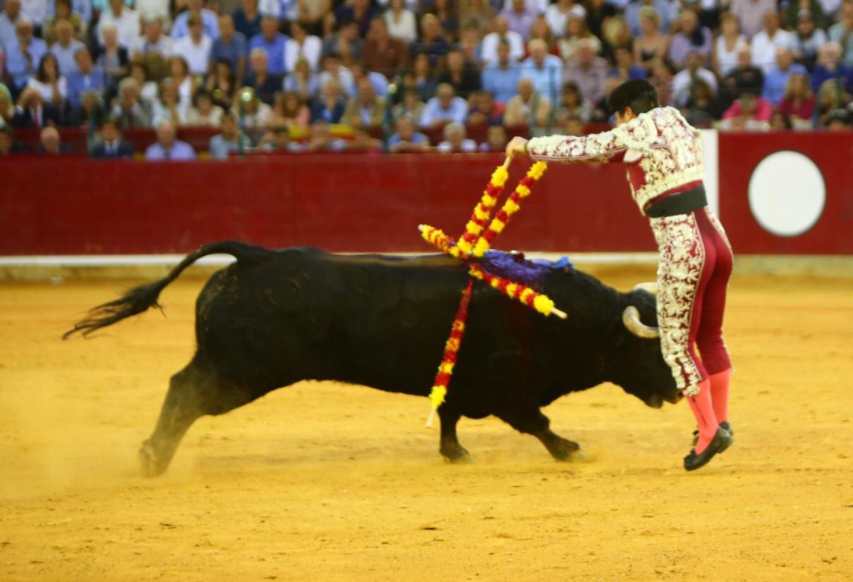 Zaragoza, domingo 13 de octubre de 2019