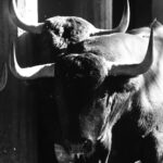 Sorteo. Zaragoza, 9 de octubre de 2019