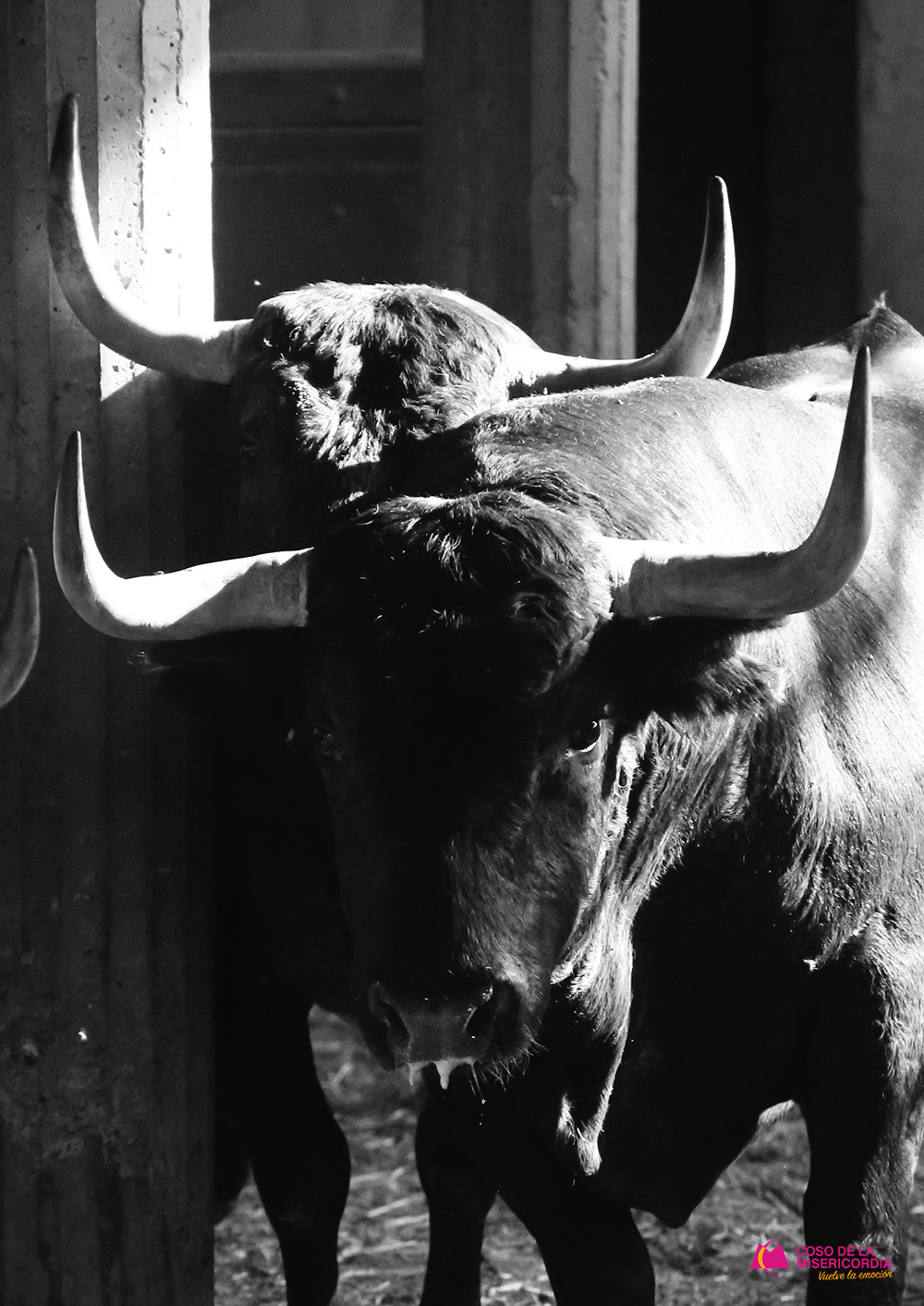 Sorteo. Zaragoza, 9 de octubre de 2019