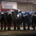 Sorteo. Zaragoza, 9 de octubre de 2019