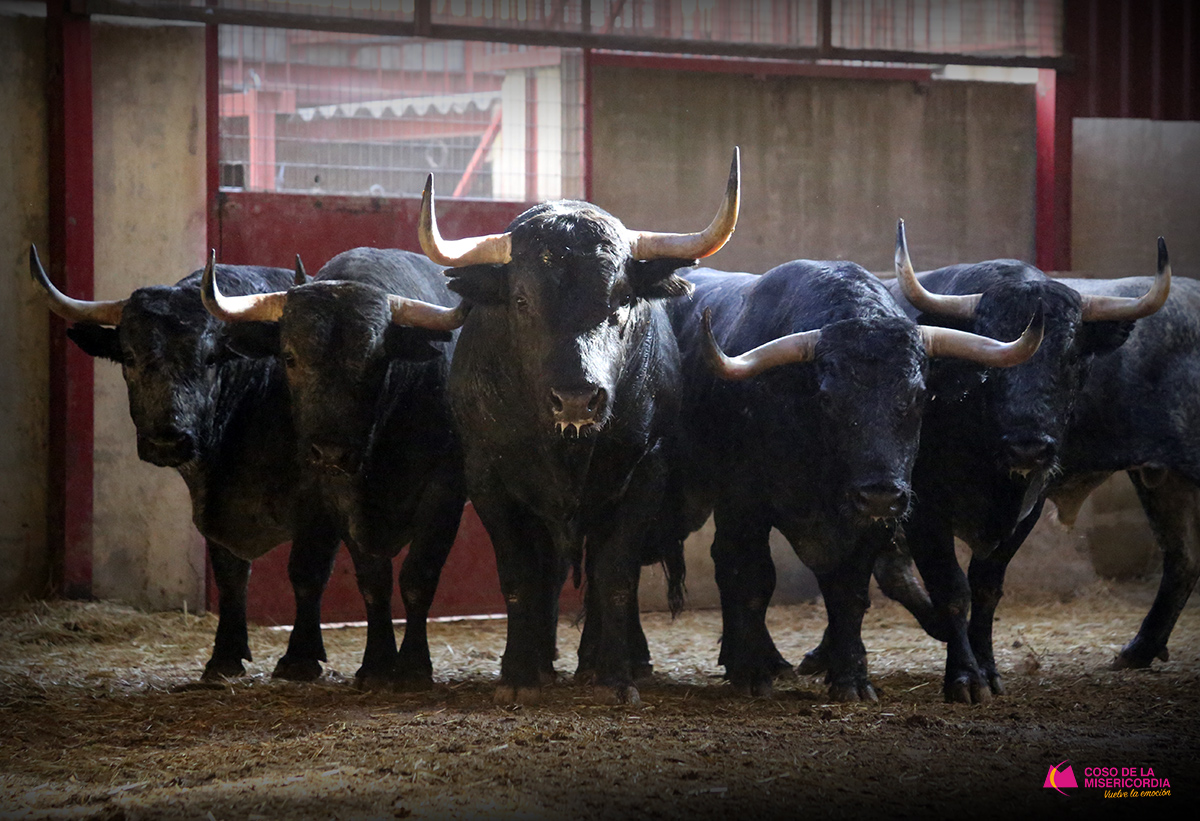 Sorteo. Zaragoza, 9 de octubre de 2019