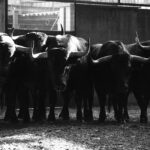 Sorteo. Zaragoza, 9 de octubre de 2019