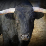 Sorteo. Zaragoza, 12 de octubre de 2019