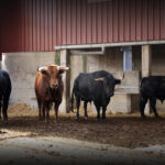 Sorteo. Zaragoza, 12 de octubre de 2019