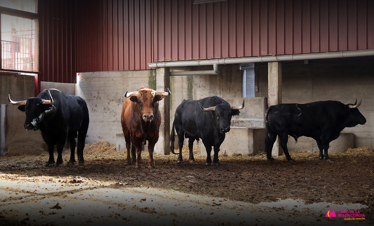 Sorteo. Zaragoza, 12 de octubre de 2019