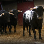 Sorteo. Zaragoza, 12 de octubre de 2019