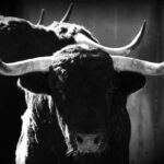 Sorteo. Zaragoza, 12 de octubre de 2019