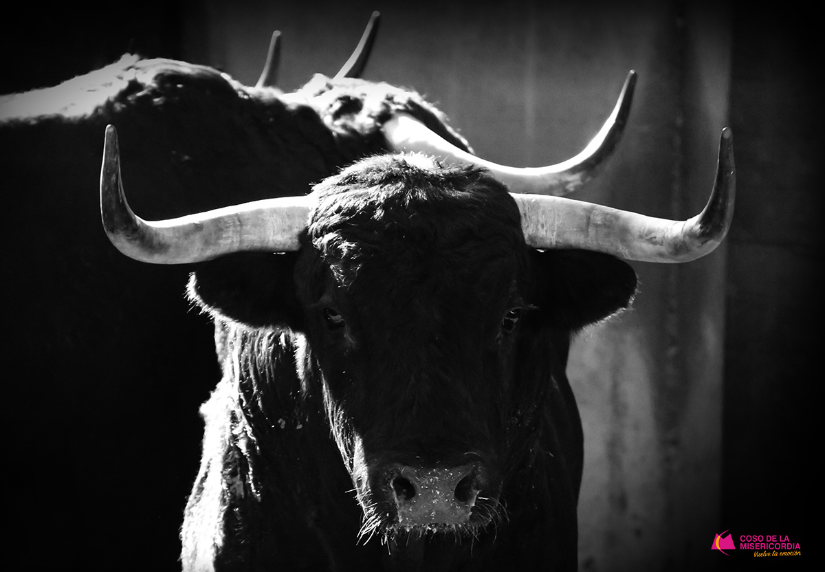 Sorteo. Zaragoza, 12 de octubre de 2019