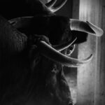 Sorteo. Zaragoza, domingo 13 de octubre de 2019