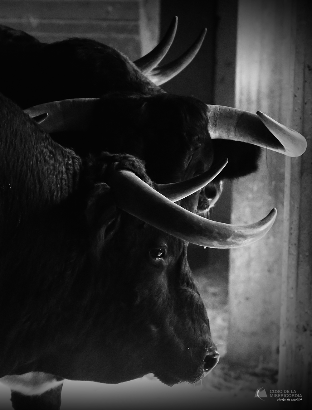 Sorteo. Zaragoza, domingo 13 de octubre de 2019