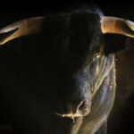 Sorteo. Zaragoza, domingo 13 de octubre de 2019