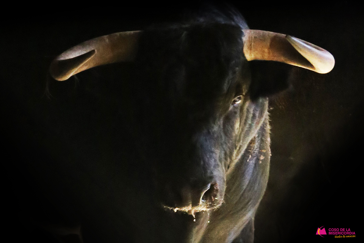 Sorteo. Zaragoza, domingo 13 de octubre de 2019