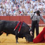 Sevilla, sábado 12 de octubre de 2019