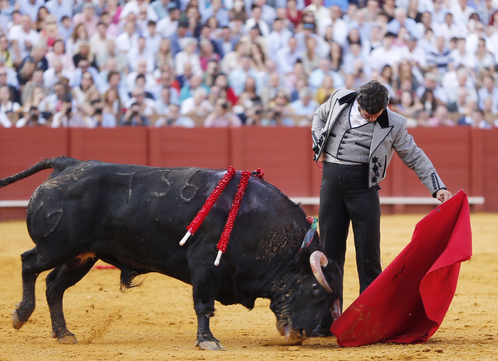 Sevilla, sábado 12 de octubre de 2019