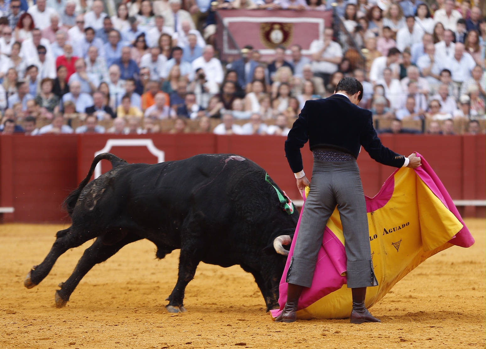 Sevilla, sábado 12 de octubre de 2019