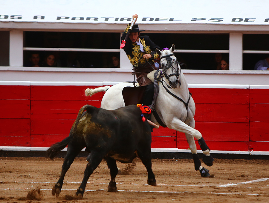 Querétaro, sábado 19 de octubre de 2019