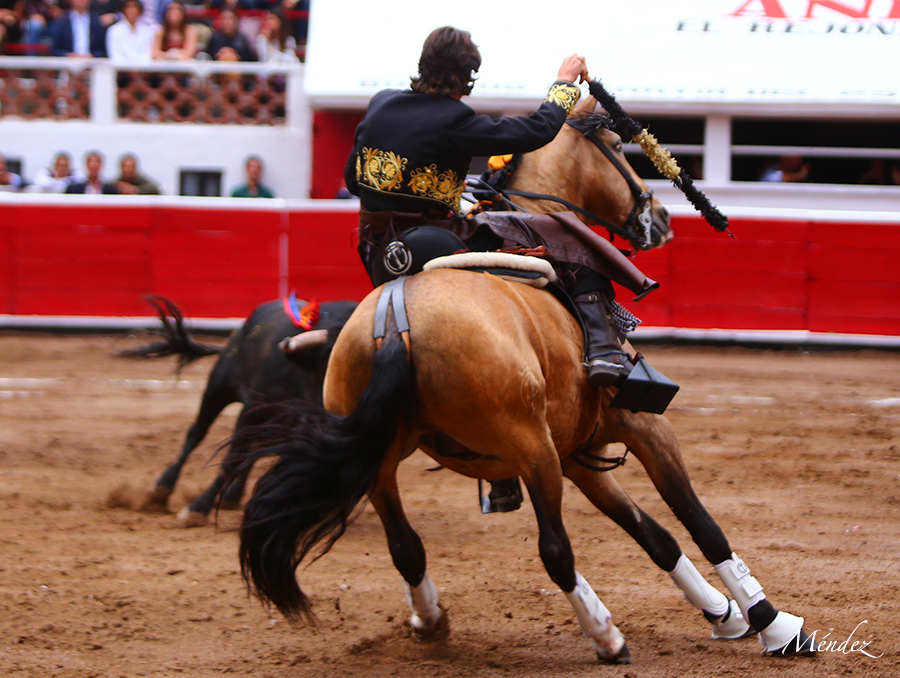 Querétaro, sábado 19 de octubre de 2019