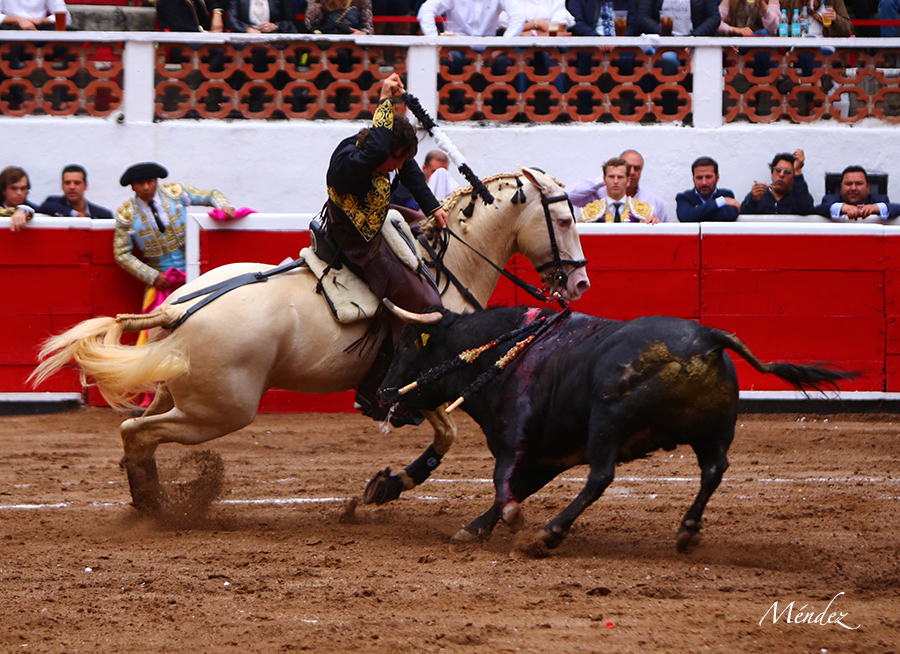 Querétaro, sábado 19 de octubre de 2019