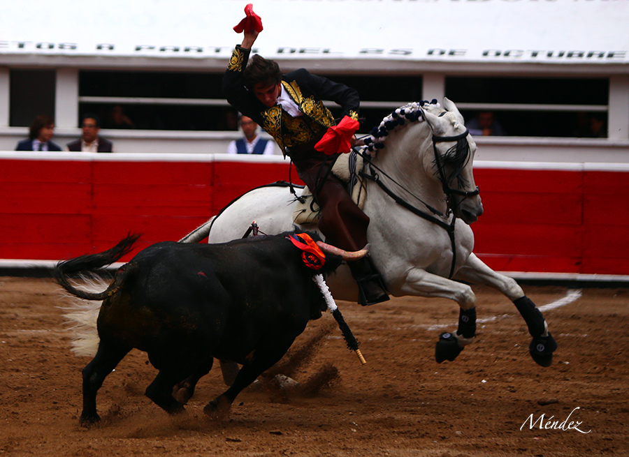 Querétaro, sábado 19 de octubre de 2019