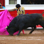 Querétaro, sábado 19 de octubre de 2019